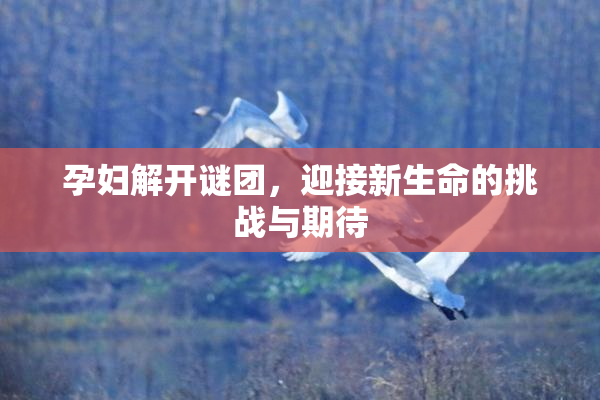 孕妇解开谜团，迎接新生命的挑战与期待