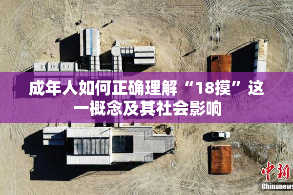 成年人如何正确理解“18摸”这一概念及其社会影响