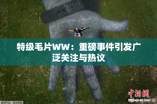 特级毛片WW：重磅事件引发广泛关注与热议