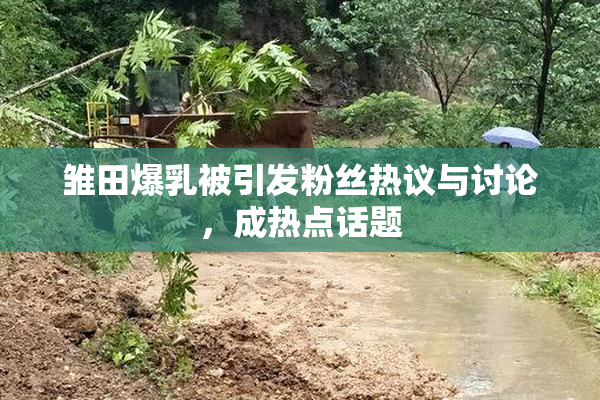 雏田爆乳被引发粉丝热议与讨论，成热点话题