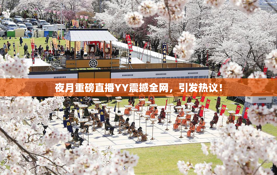 夜月重磅直播YY震撼全网，引发热议！