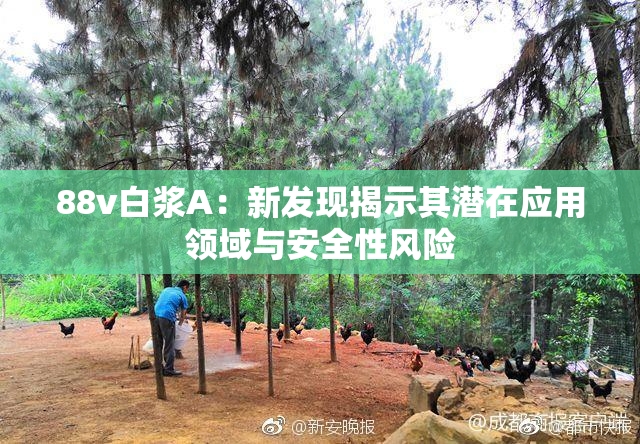 88v白浆A：新发现揭示其潜在应用领域与安全性风险