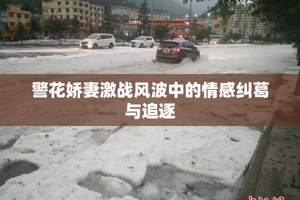 警花娇妻激战风波中的情感纠葛与追逐