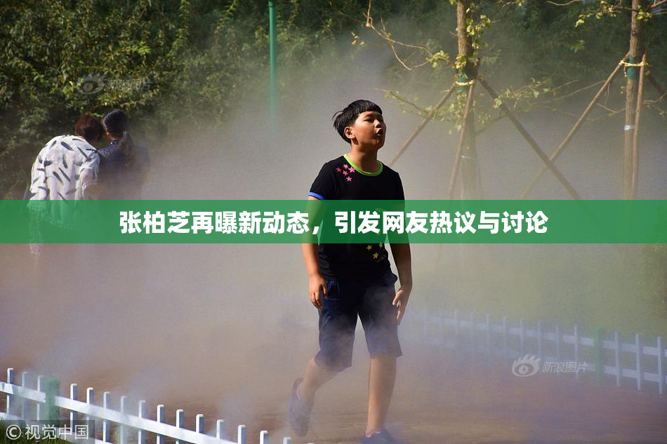 张柏芝再曝新动态，引发网友热议与讨论
