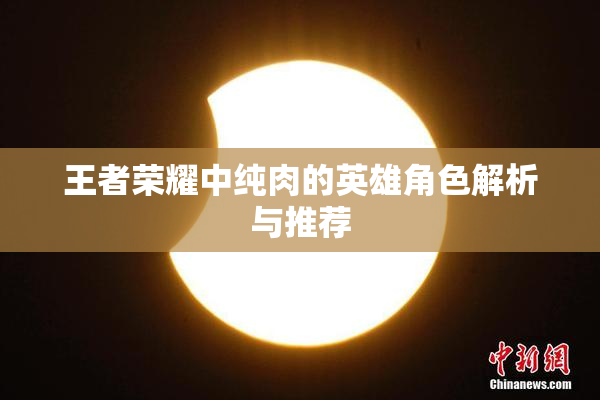 王者荣耀中纯肉的英雄角色解析与推荐