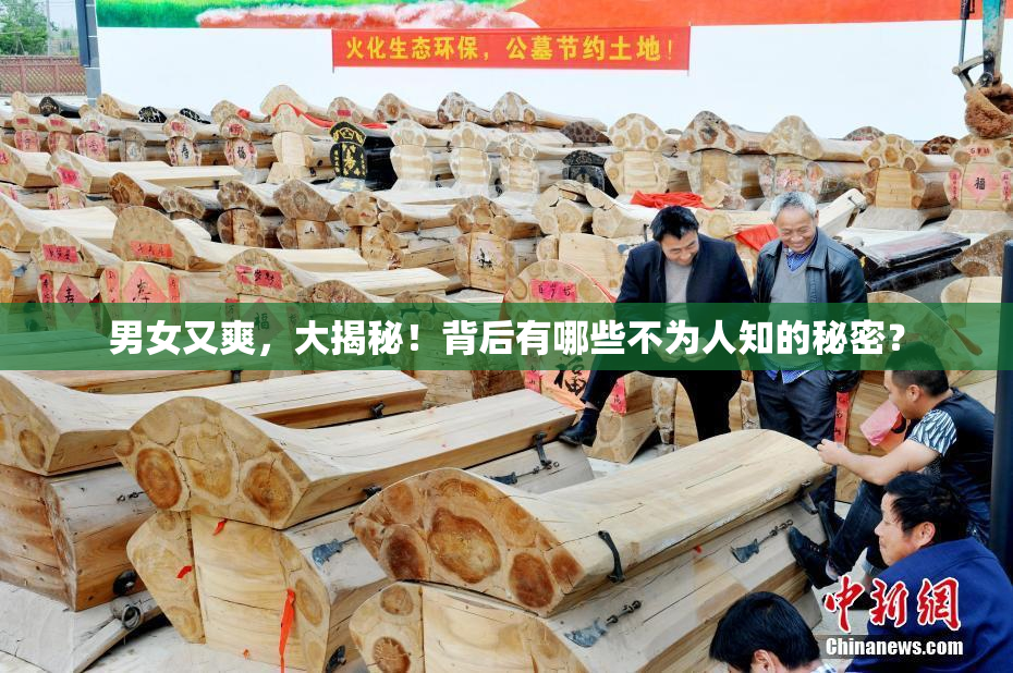 男女又爽，大揭秘！背后有哪些不为人知的秘密？