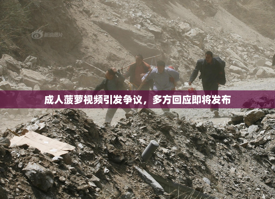 成人菠萝视频引发争议，多方回应即将发布
