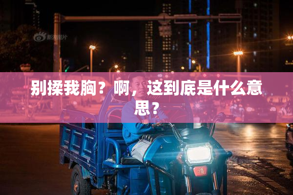 别揉我胸？啊，这到底是什么意思？