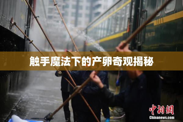 触手魔法下的产卵奇观揭秘