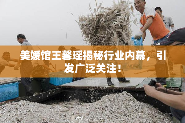 美媛馆王馨瑶揭秘行业内幕，引发广泛关注！