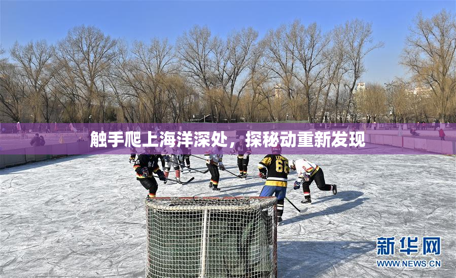 触手爬上海洋深处，探秘动重新发现