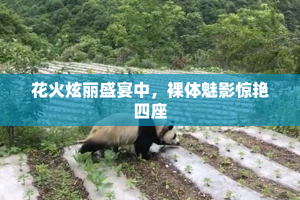 花火炫丽盛宴中，裸体魅影惊艳四座