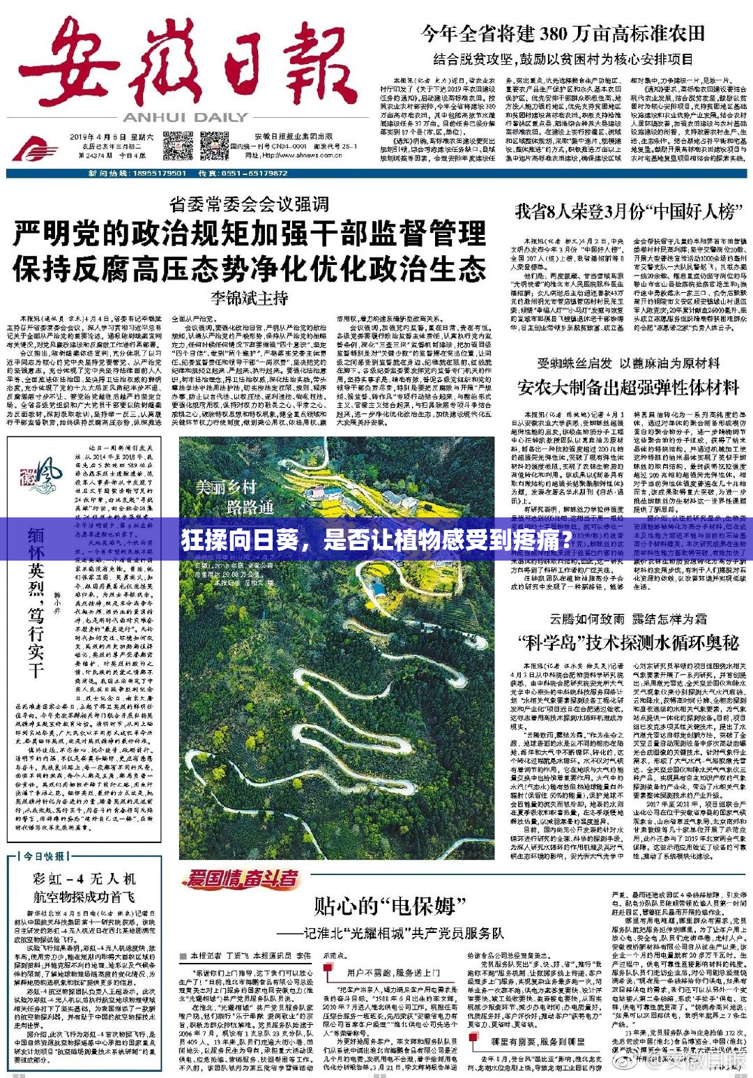 狂揉向日葵，是否让植物感受到疼痛？
