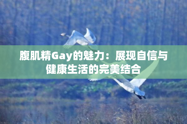 腹肌精Gay的魅力：展现自信与健康生活的完美结合