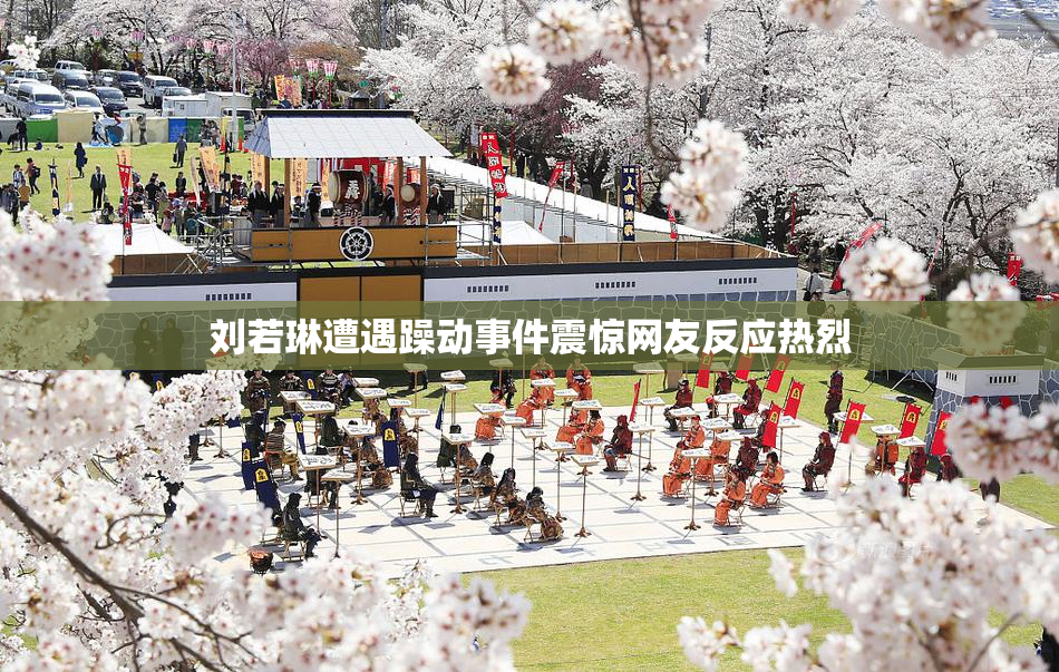 刘若琳遭遇躁动事件震惊网友反应热烈