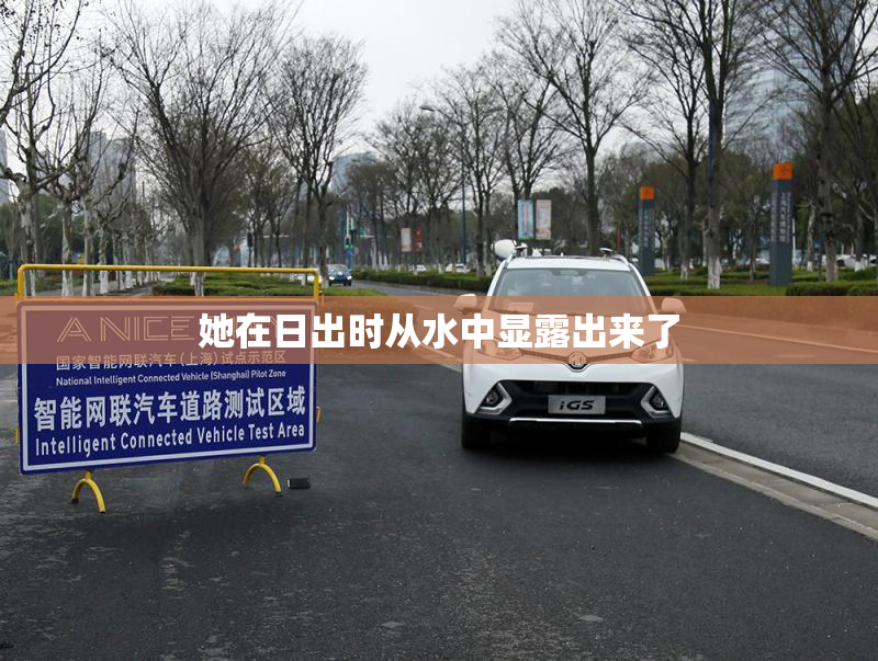 她在日出时从水中显露出来了