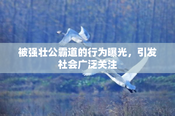 被强壮公霸道的行为曝光，引发社会广泛关注