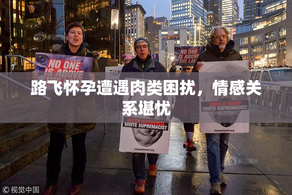 路飞怀孕遭遇肉类困扰，情感关系堪忧
