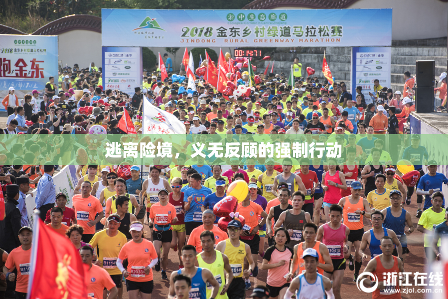 逃离险境，义无反顾的强制行动