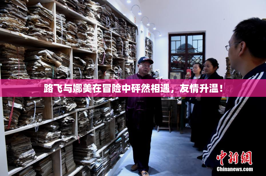 路飞与娜美在冒险中砰然相遇，友情升温！