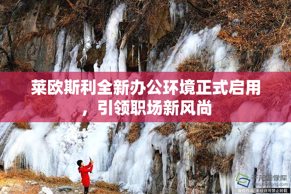莱欧斯利全新办公环境正式启用，引领职场新风尚