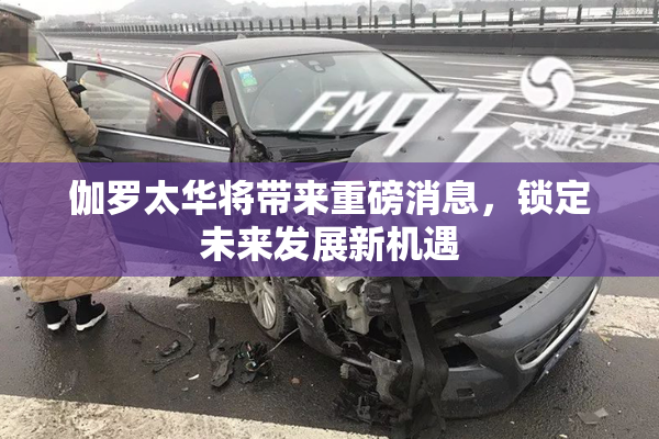 伽罗太华将带来重磅消息，锁定未来发展新机遇