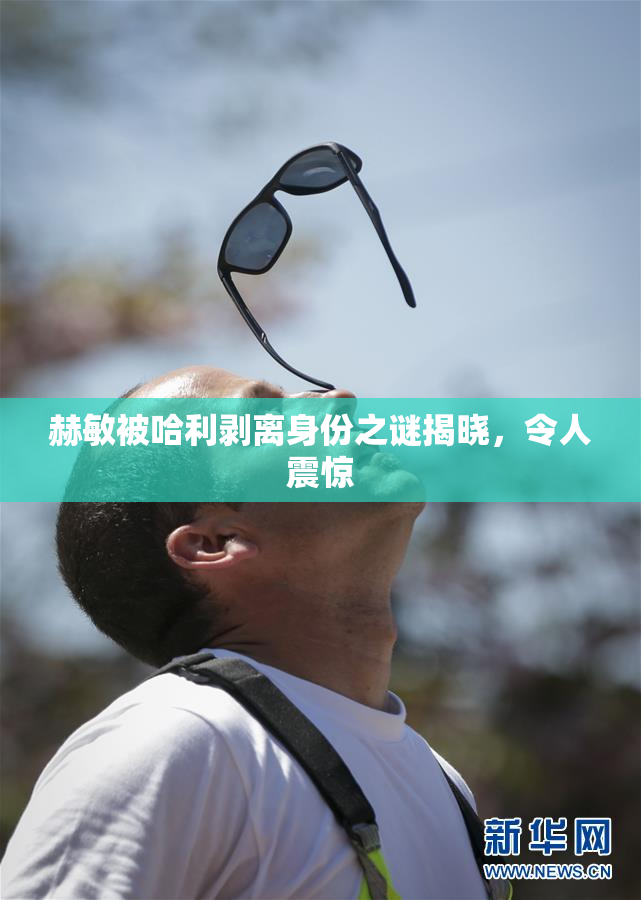 赫敏被哈利剥离身份之谜揭晓，令人震惊