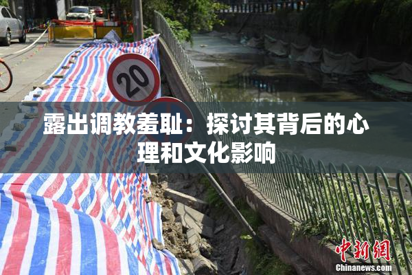 露出调教羞耻：探讨其背后的心理和文化影响