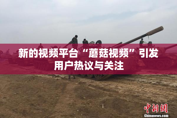 新的视频平台“蘑菇视频”引发用户热议与关注