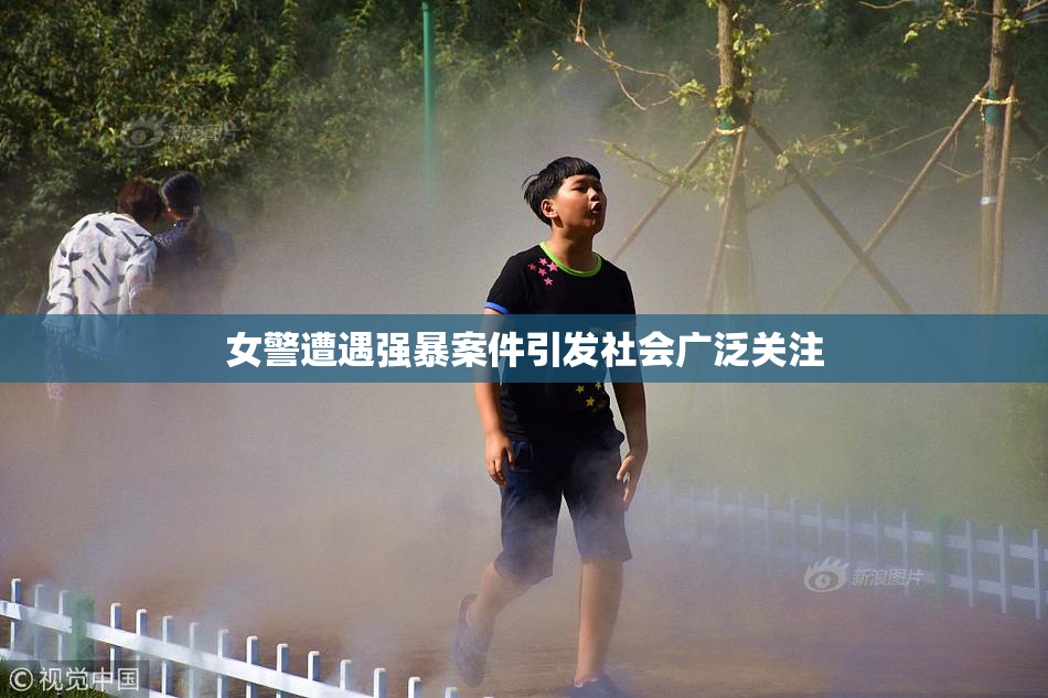 女警遭遇强暴案件引发社会广泛关注