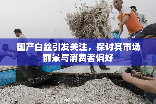 国产白丝引发关注，探讨其市场前景与消费者偏好