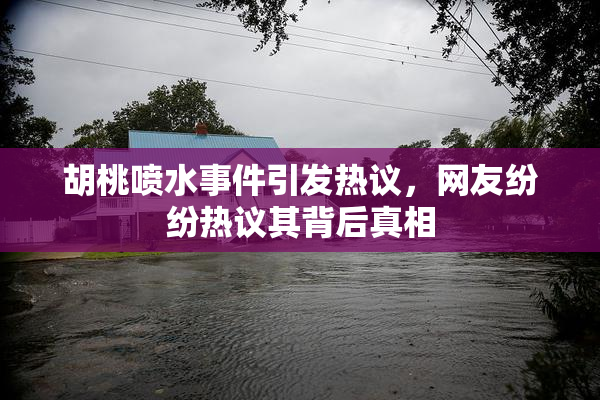 胡桃喷水事件引发热议，网友纷纷热议其背后真相