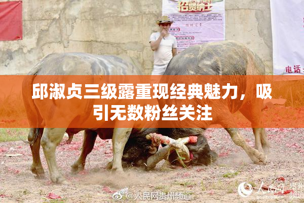 邱淑贞三级露重现经典魅力，吸引无数粉丝关注