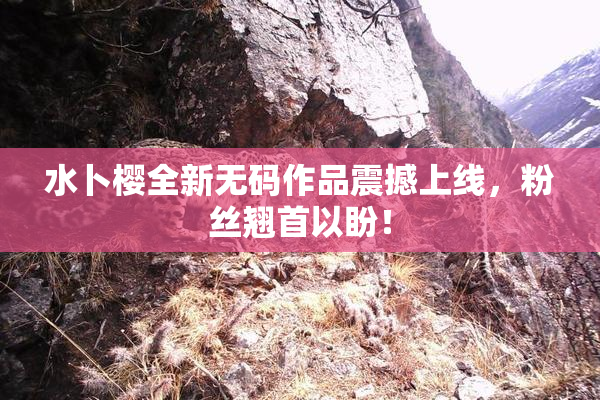 水卜樱全新无码作品震撼上线，粉丝翘首以盼！