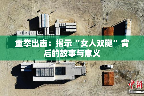 重拳出击：揭示“女人双腿”背后的故事与意义
