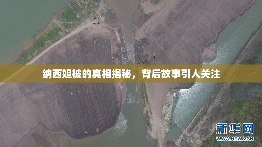 纳西妲被的真相揭秘，背后故事引人关注