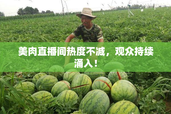 美肉直播间热度不减，观众持续涌入！