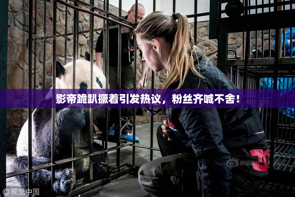 影帝跪趴撅着引发热议，粉丝齐喊不舍！