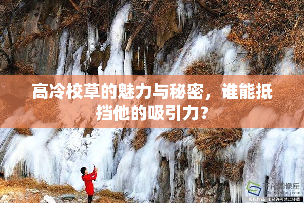 高冷校草的魅力与秘密，谁能抵挡他的吸引力？