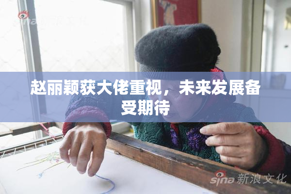 赵丽颖获大佬重视，未来发展备受期待