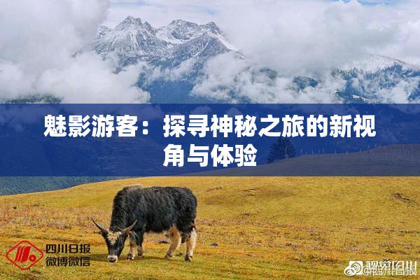 魅影游客：探寻神秘之旅的新视角与体验