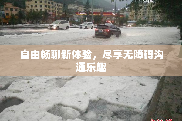 自由畅聊新体验，尽享无障碍沟通乐趣