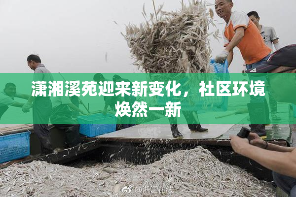 潇湘溪苑迎来新变化，社区环境焕然一新