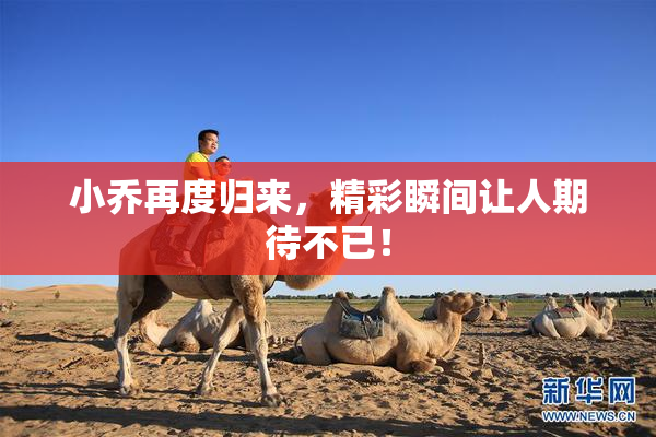小乔再度归来，精彩瞬间让人期待不已！
