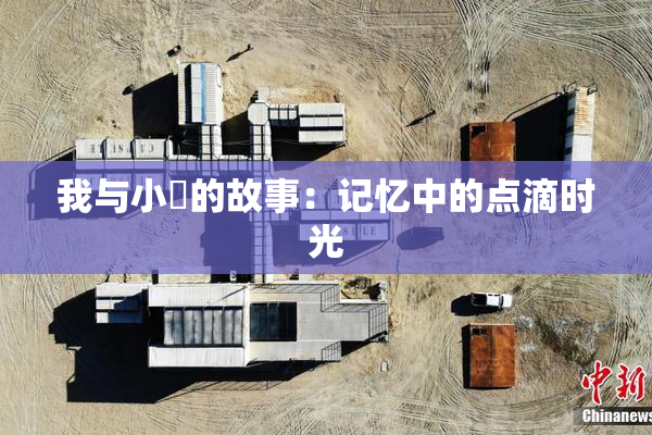 我与小娻的故事：记忆中的点滴时光