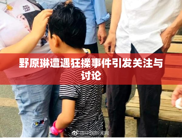 野原琳遭遇狂揉事件引发关注与讨论