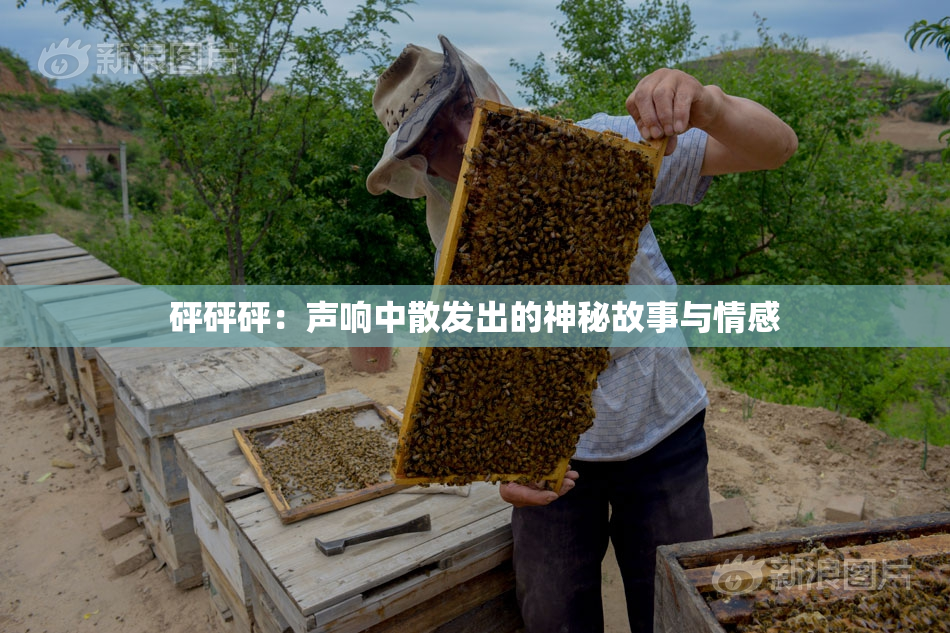 砰砰砰：声响中散发出的神秘故事与情感
