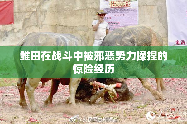 雏田在战斗中被邪恶势力揉捏的惊险经历