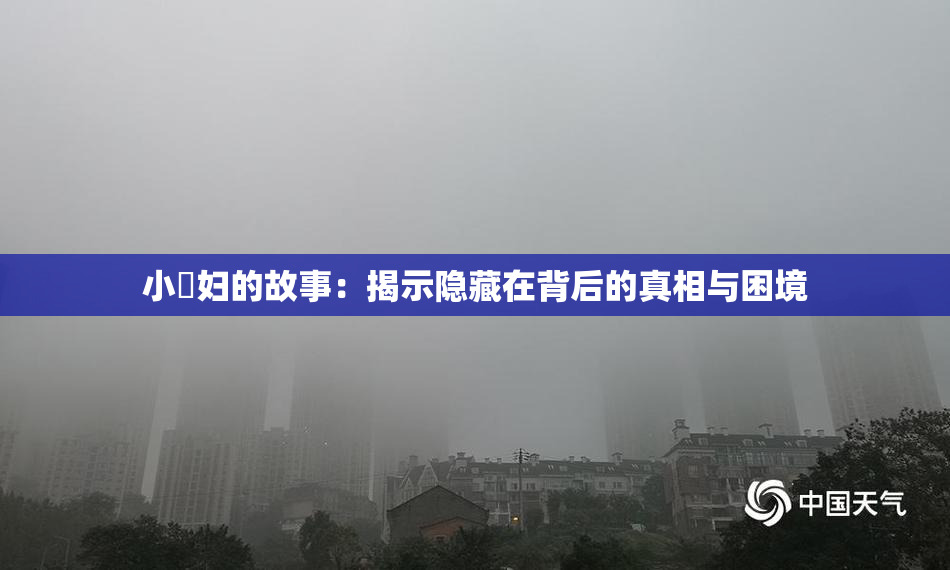 小婬妇的故事：揭示隐藏在背后的真相与困境