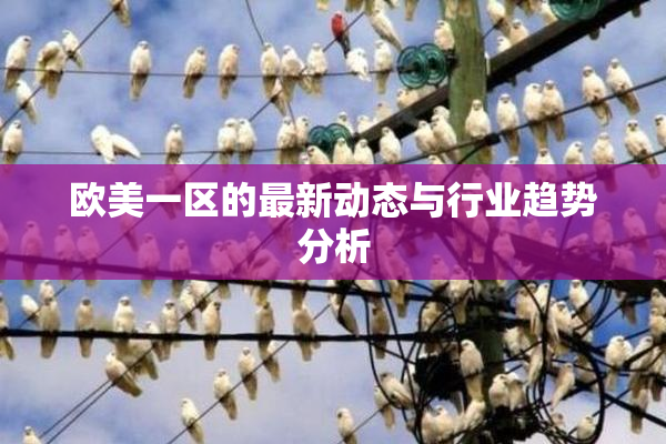 欧美一区的最新动态与行业趋势分析